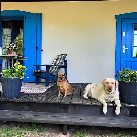 Hubertowka 아파트 *