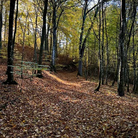Hubertówka * Somonino