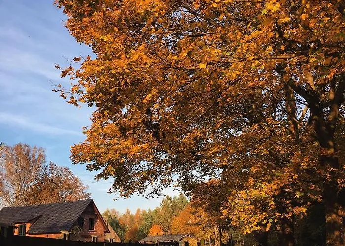 Hubertowka Lejlighed Somonino