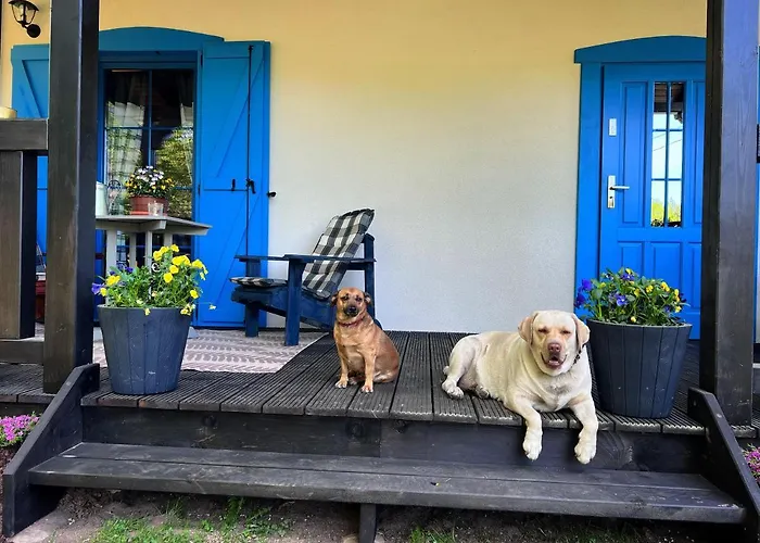 Hubertowka Апартаменты *